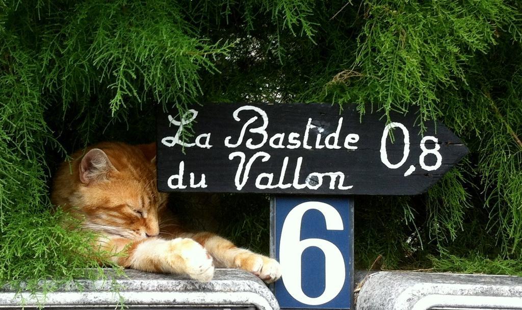 Gasthaus La Bastide Du Vallon Saumane-de-Vaucluse Exterior foto